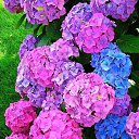 ���� Adam, ������, 58 ��� - ��������� 7 ������� 2016 � ������ ����� 2016�