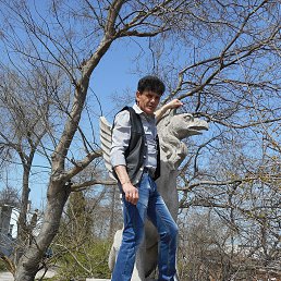 �������, �����, 64 ����