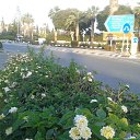���� Irena, ��������� - ��������� 28 ����� 2016 � ������ �����,2015�