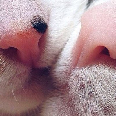 ������ ������� ������. ������� �����, ����������� ��������, �������� ������� � ������� �����, ... - 2