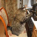 ���� ����, ������� - ��������� 11 ������ 2016 � ������ ��������