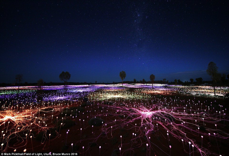     Bruce Munro - 5