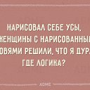 ���� Alex, ������� - ��������� 2 ���� 2016 � ������ ������ ��������