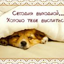 ���� ����, �������� - ��������� 22 ��� 2016 � ������ �������� ��������