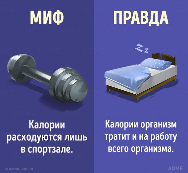 10 мифов о здоровом питании, в которые пора перестать верить - 4