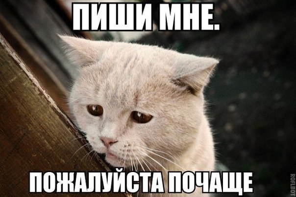 �������� ������ � ������ - 8 ���� 2016 � 16:08