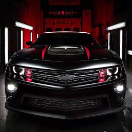 Anatoly, �����-���������, 43 ����