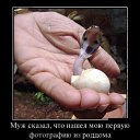 ���� ����, ������, 43 ���� - ��������� 7 �������� 2016 � ������ ���� ����������