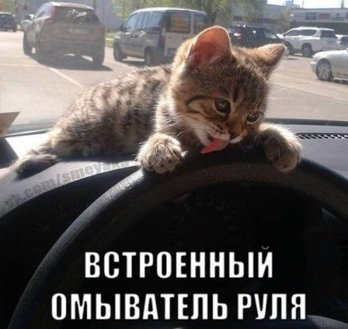�������� ������ � ������ - 23 ���� 2016 � 01:40
