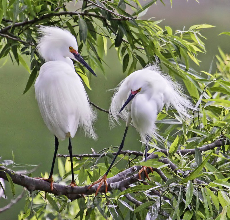 Капельки радости! - 24 июля 2016 в 21:04