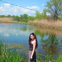 ���� �������, �������, 37 ��� - ��������� 8 ��� 2016 � ������ ���� ����������