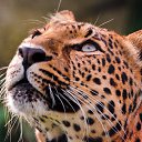 ���� ������, �������, 40 ��� - ��������� 16 ����� 2016 � ������ ���� ����������