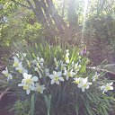 ���� �������, ������� �����, 50 ��� - ��������� 13 ��� 2016 � ������ ���� ������