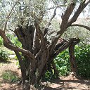  Yuliya,  -  24  2016    2016 Ļ