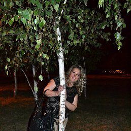 ���� ��������, ������, 54 ���� - ��������� 22 ������� 2016