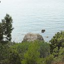 ���� ����, �����������, 45 ��� - ��������� 23 ������� 2016 � ������ ����� 2016�