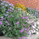 ���� �����, ������, 48 ��� - ��������� 14 ������� 2016 � ������ ��������