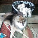 ���� ���������, ��������, 39 ��� - ��������� 21 ������ 2016 � ������ �������))�