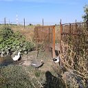 ���� ���������, �������������� - ��������� 8 �������� 2016 � ������ �����