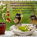 ���� �������, ����������� - ��������� 30 ������ 2016 � ������ ������ ��������
