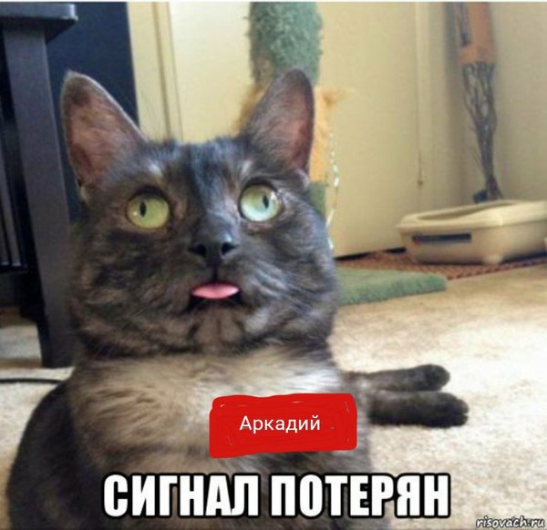 ������ � ������� �� ������������� ������������ ��� �����, ������ �� ����� ���� ...