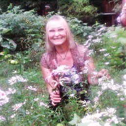 ���� ����� ��������, �����-���������, 72 ���� - ��������� 5 ������� 2016