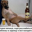 ���� ��������, ���������, 44 ���� - ��������� 15 ���� 2016 � ������ ������ ��������