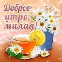 ���� ������, �����-���������, 54 ���� - ��������� 16 ������ 2016 � ������ �������� ��������