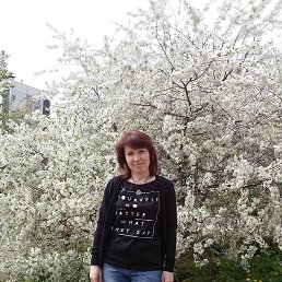 �����, �����������, 52 ����