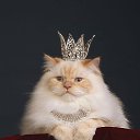 ���� ������, ���, 62 ���� - ��������� 27 ���� 2016 � ������ ���� ����������