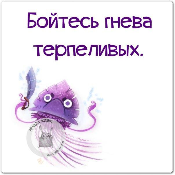   - 3  2016  19:58