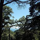 � ��� - ����! �� ������� ������������ �� �����