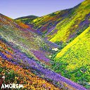 ���� Dzintra, �����������, 64 ���� - ��������� 28 ������ 2016 � ������ ���� ����������
