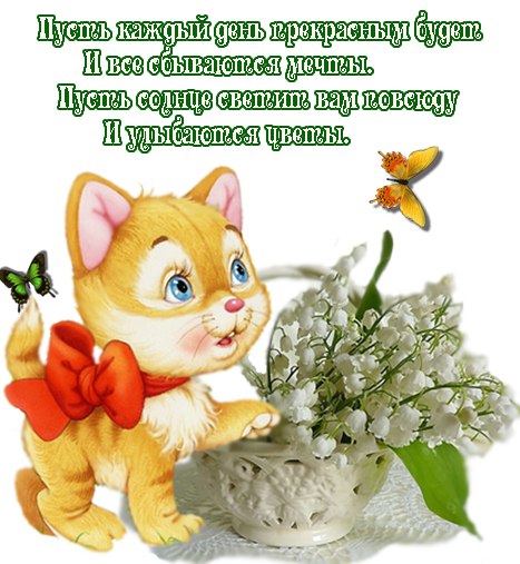  - 2  2016  08:33