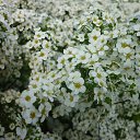  -   !,  -  12  2016     2016