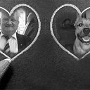 ���� ��������� �������, �����������, 59 ��� - ��������� 10 ������� 2016 � ������ ���� ����������