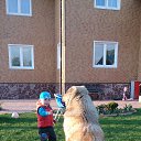 ���� Ivan, �������, 42 ���� - ��������� 11 ����� 2016