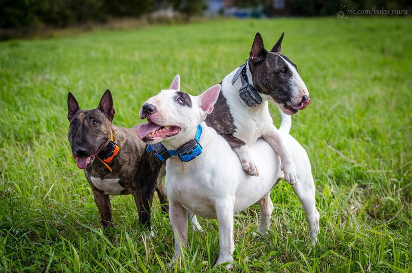 Детский и семейный фотограф https://fotostrana.ru/away?to=/sl/Yyo1Приглашает всех на летние ...