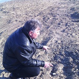 �������, �����-���������, 53 ����