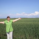 ���� �������, ������, 76 ��� - ��������� 15 ����� 2016