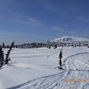 ���� ������, ����������� - ��������� 19 ������ 2016 � ������ �������� ��������