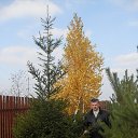 ���� �������, ����, 65 ��� - ��������� 23 ��� 2016 � ������ ���� ����������