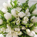 ���� ��������� ���������, ��������� - ��������� 16 ����� 2016 � ������ ���� ����������