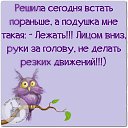 ���� �����, ����������, 54 ���� - ��������� 20 ����� 2016 � ������ ������ ��������
