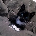 ���� ���������, ������, 61 ��� - ��������� 6 ���� 2016