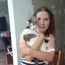 ���� �����, ����������, 41 ��� - ��������� 23 ���� 2016 � ������ ���� ����������