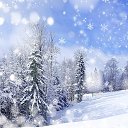 ���� Fred, ����, 39 ��� - ��������� 5 ���� 2016 � ������ �men�