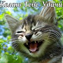 ���� ������, �����������, 69 ��� - ��������� 9 ������� 2016 � ������ ���� ����������
