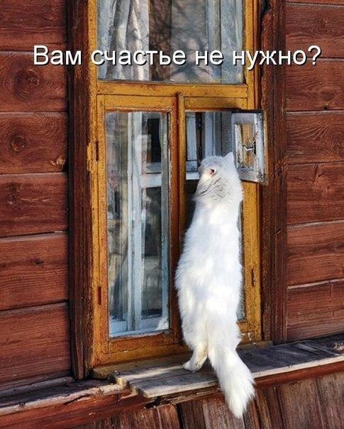 ������ - ��������� - 17 ��� 2016 � 12:37