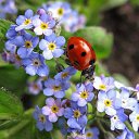 ���� �����, �����������, 56 ��� - ��������� 11 ���� 2016 � ������ ������ ��������